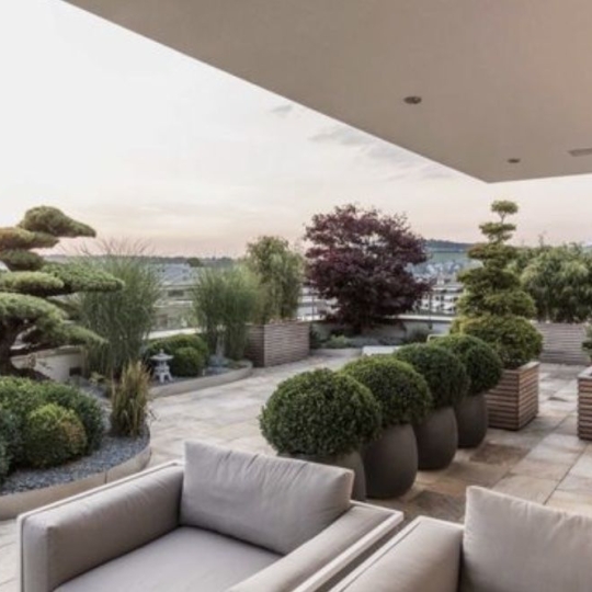 MOULINIER CONSEILS : Appartement | TASSIN-LA-DEMI-LUNE (69160) | 91.00m2 | 529 000 € MOULINIER CONSEILS : Appartement | TASSIN-LA-DEMI-LUNE (69160) | 91.00m2 | 529 000 €